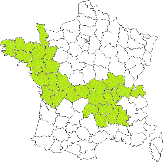 france-departement