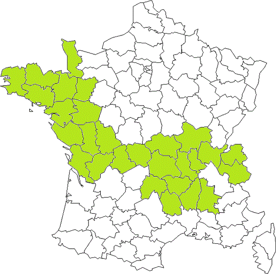 france-departement